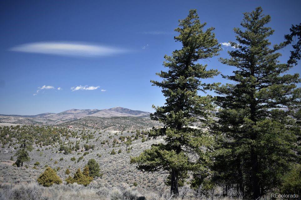 Jaffee Road Fort Garland, CO 81133 - Photo 2 of 4 Gallery Image 2