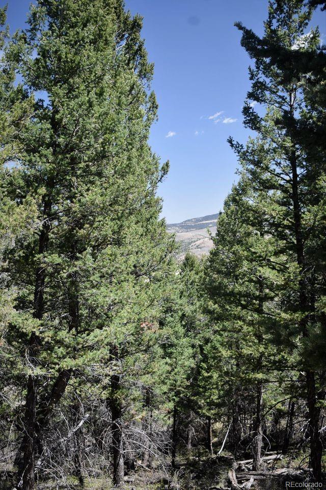 Jaffee Road Fort Garland, CO 81133 - Photo 3 of 4 Gallery Image 3