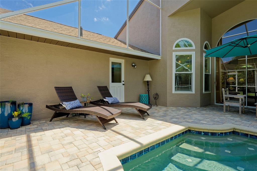 8115 Montock Court Trinity, FL 34655 - Photo 42 of 54