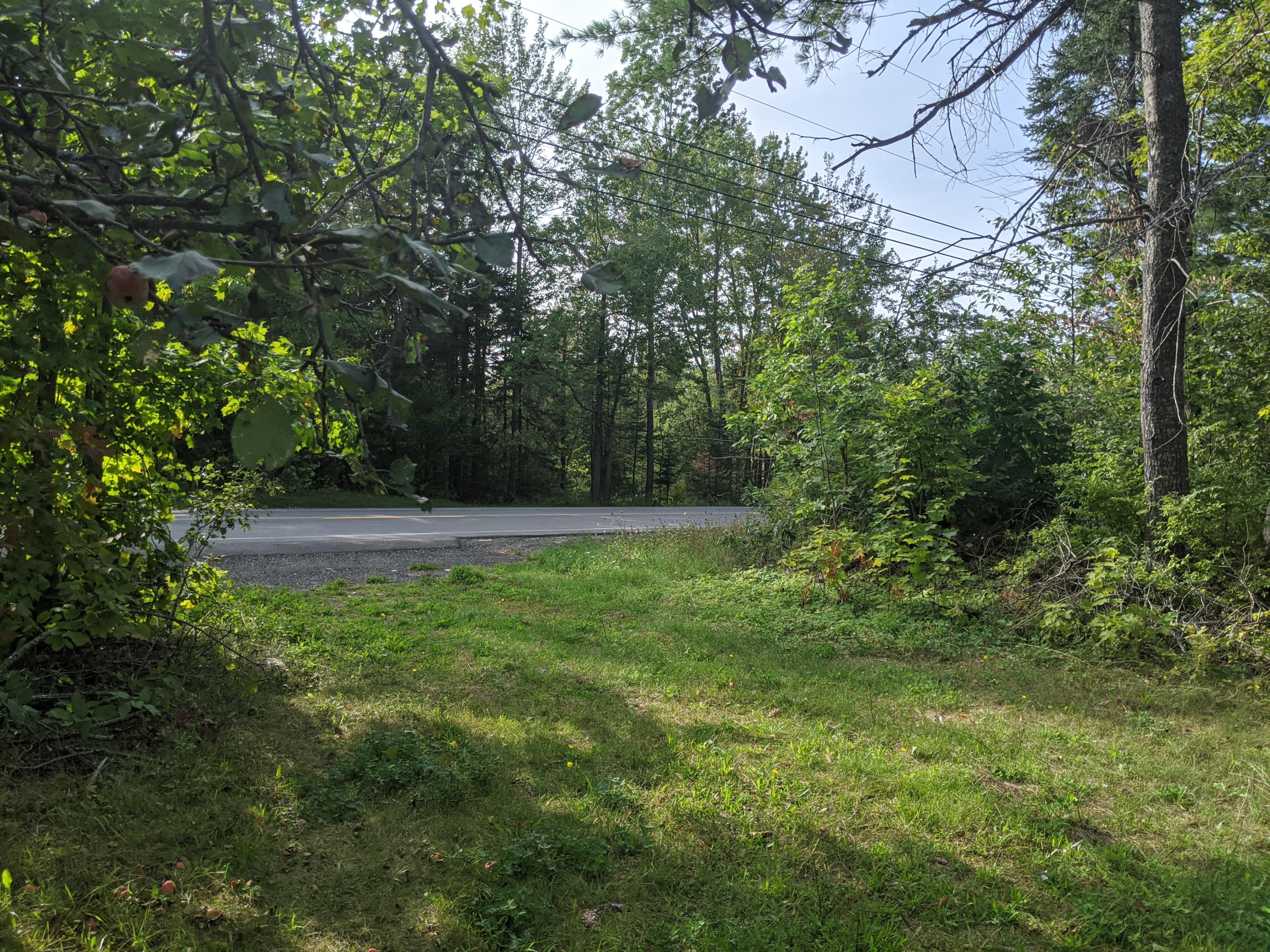 1922 Dexter Road Dover-Foxcroft, ME 04426 - Photo 1 of 17 IMG_20200914_155922