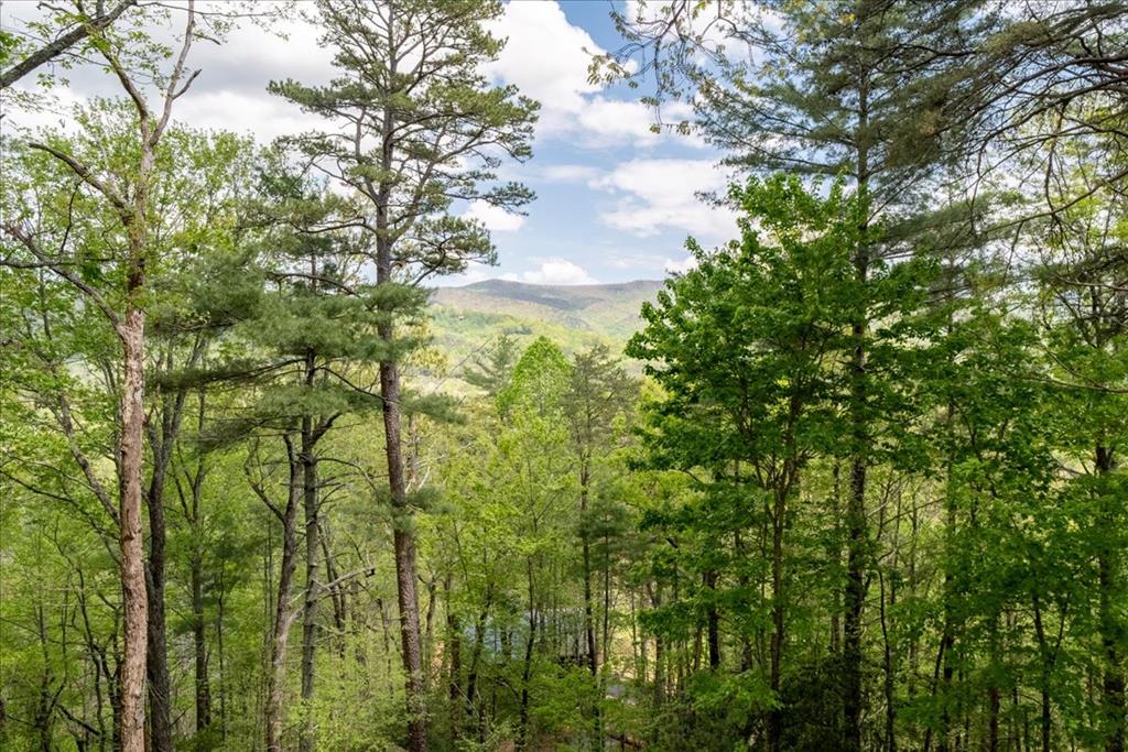 90 Mountain View Trail Blue Ridge, GA 30513 - Photo 1 of 43 a view of a yard