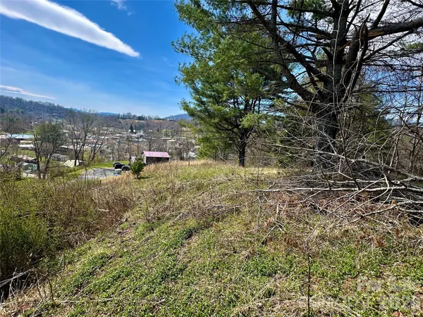 $155,000 | 0 Cane Creek Road, Bakersville, NC 28705