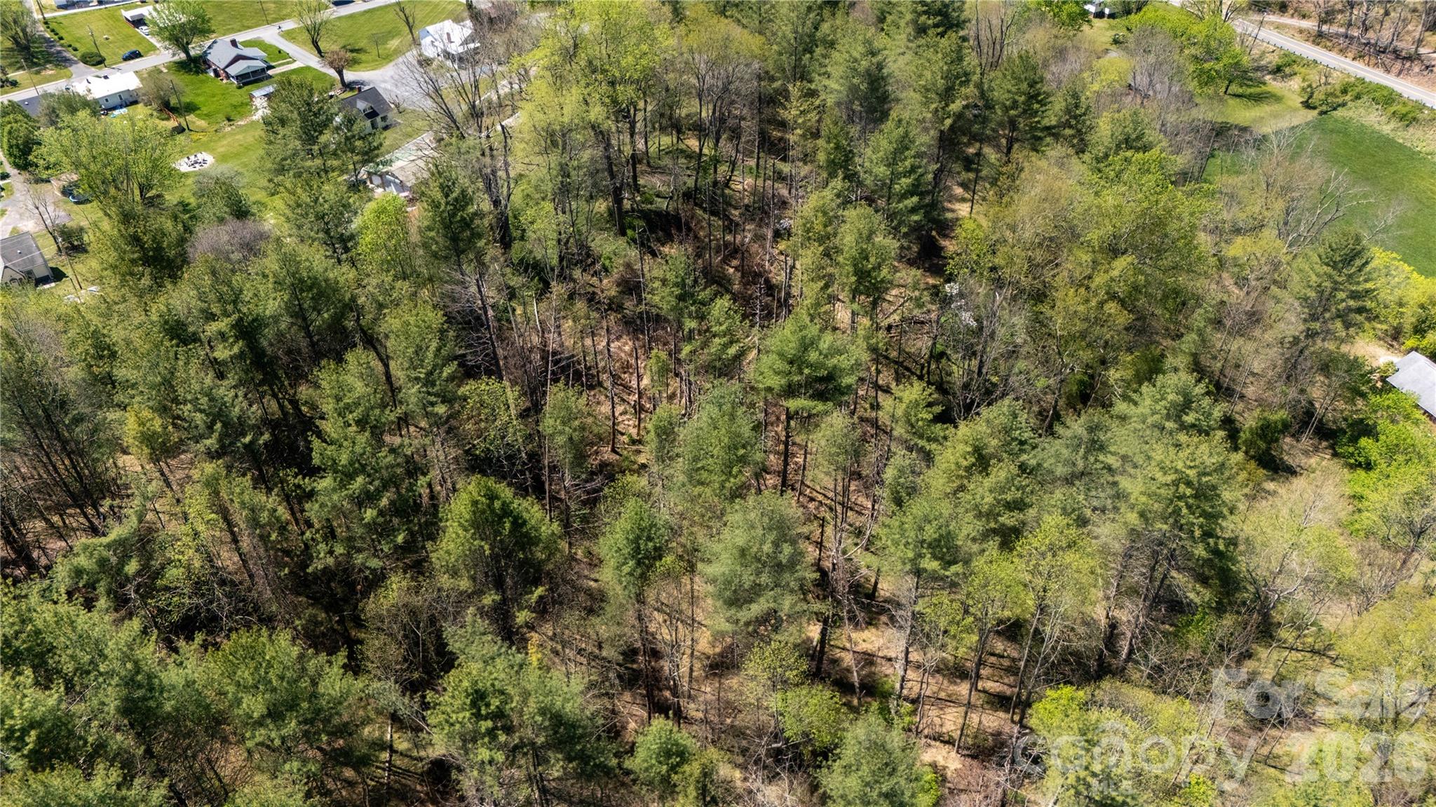 0 North Mitchell Avenue Bakersville, NC 28705 - Photo 15 of 22