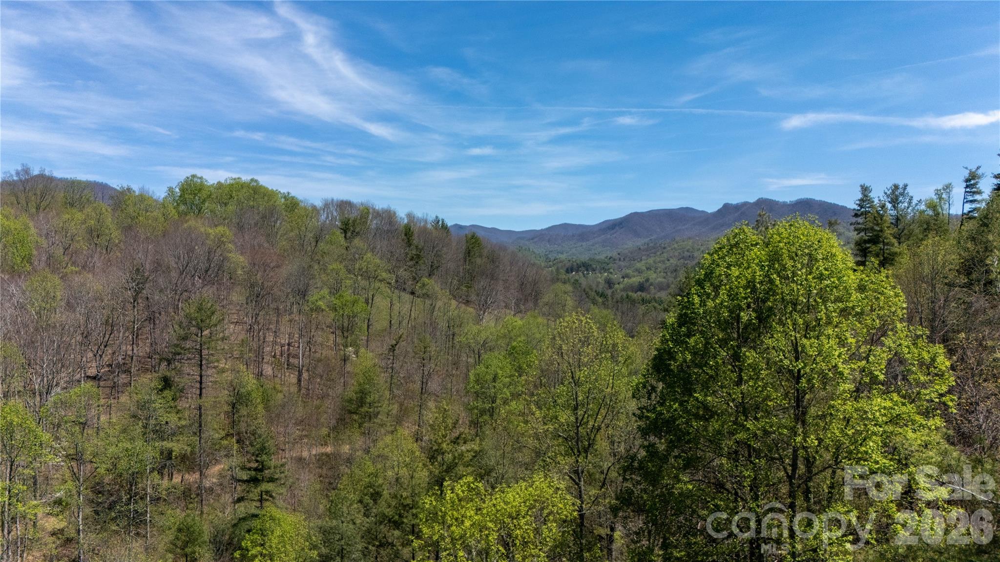 0 North Mitchell Avenue Bakersville, NC 28705 - Photo 16 of 22