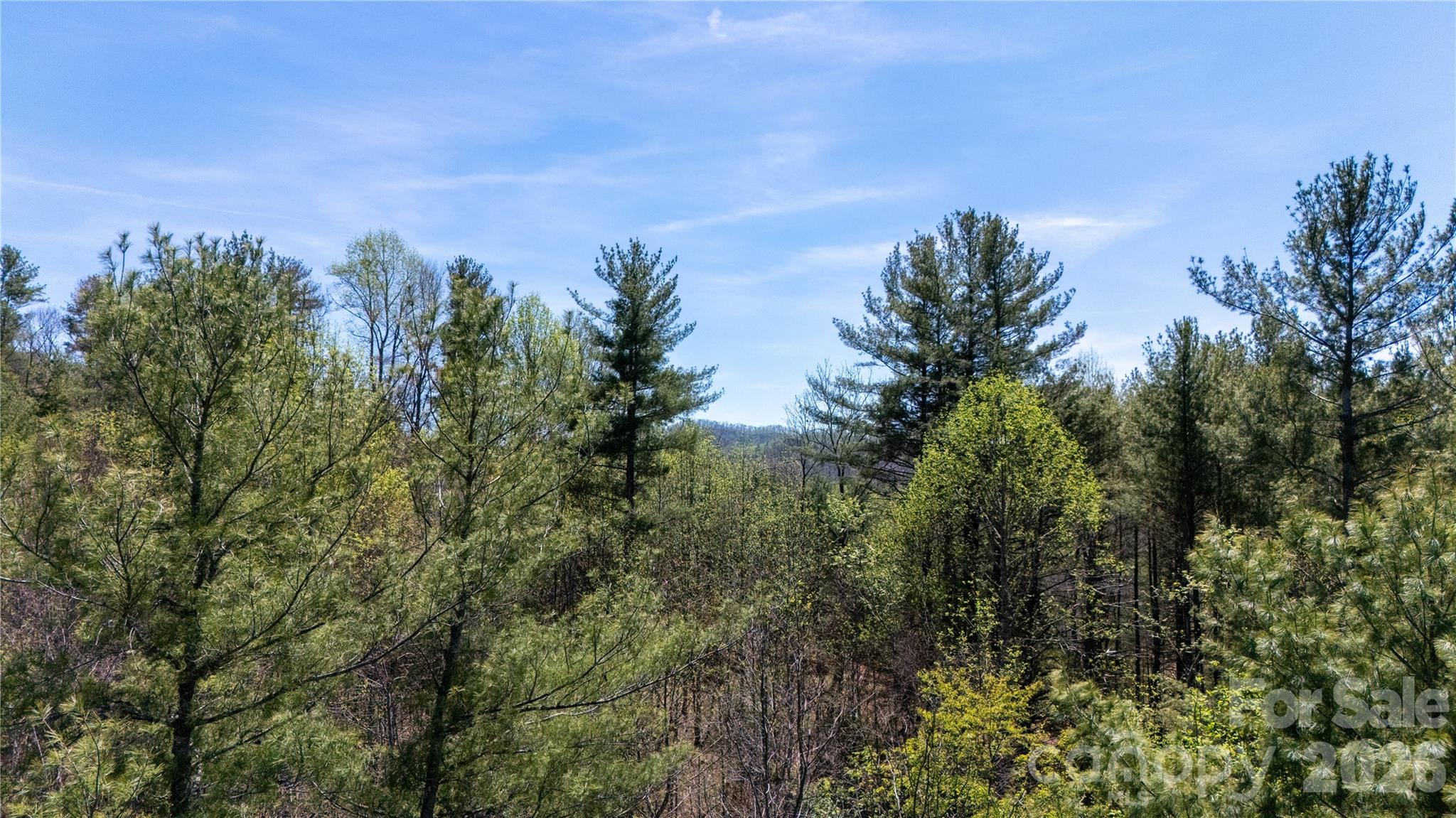 0 North Mitchell Avenue Bakersville, NC 28705 - Photo 17 of 22