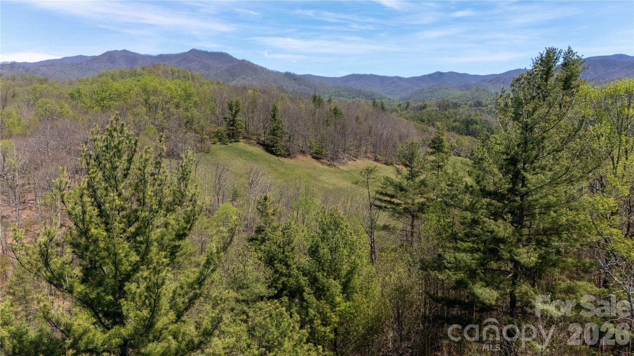 0 North Mitchell Avenue Bakersville, NC 28705 - Photo 18 of 22