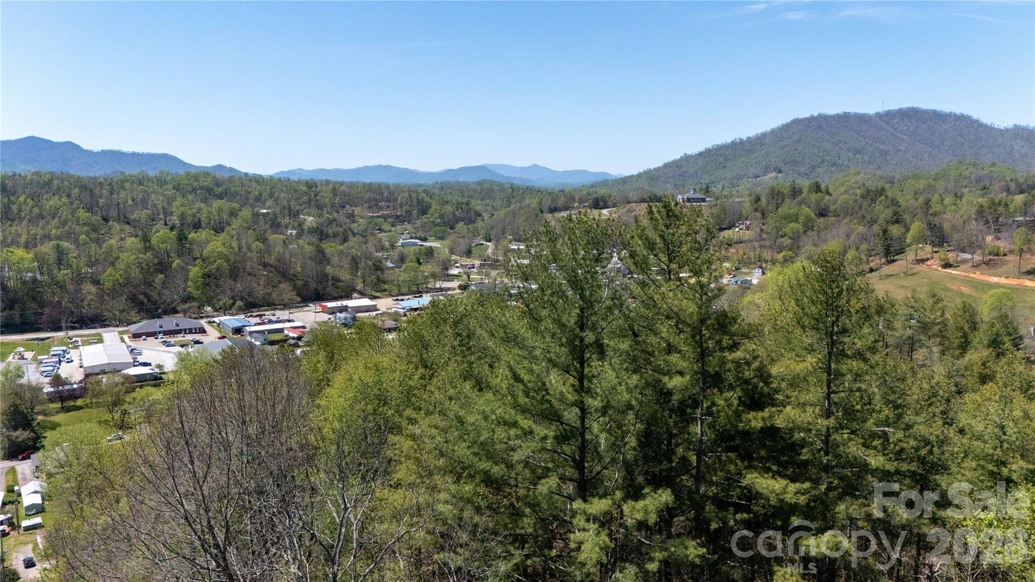 0 North Mitchell Avenue Bakersville, NC 28705 - Photo 19 of 22