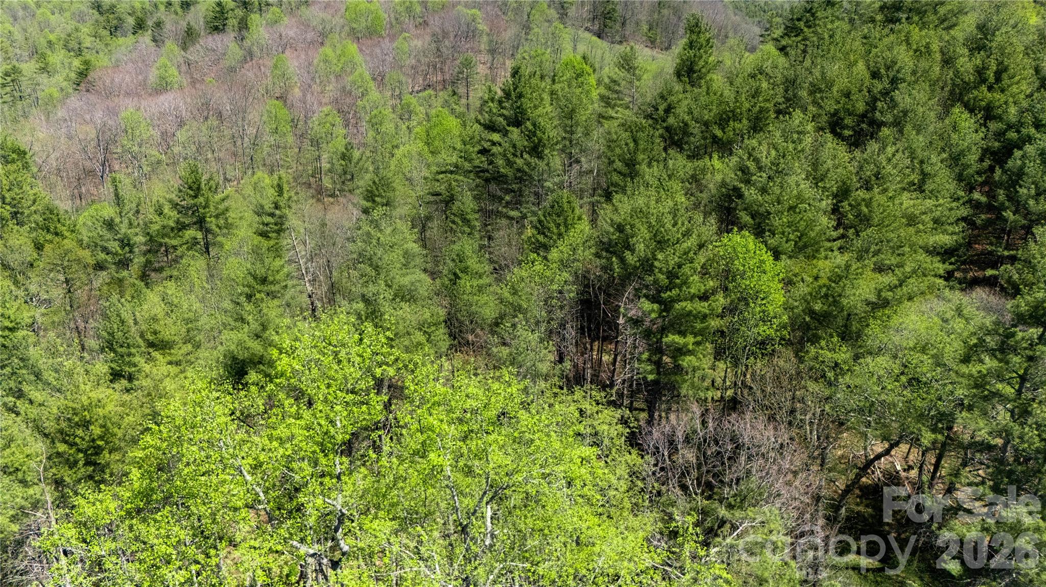 0 North Mitchell Avenue Bakersville, NC 28705 - Photo 20 of 22