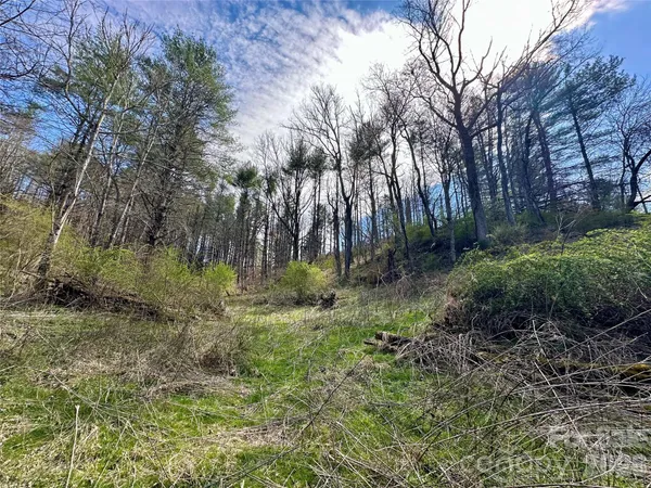 $155,000 | 0 North Mitchell Avenue, Bakersville, NC 28705