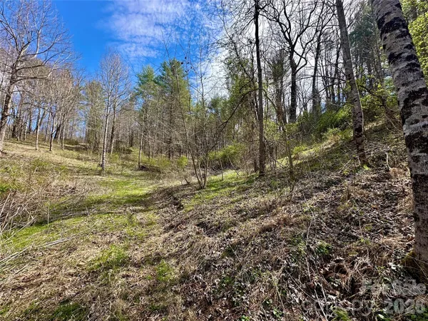 $155,000 | 0 North Mitchell Avenue, Bakersville, NC 28705