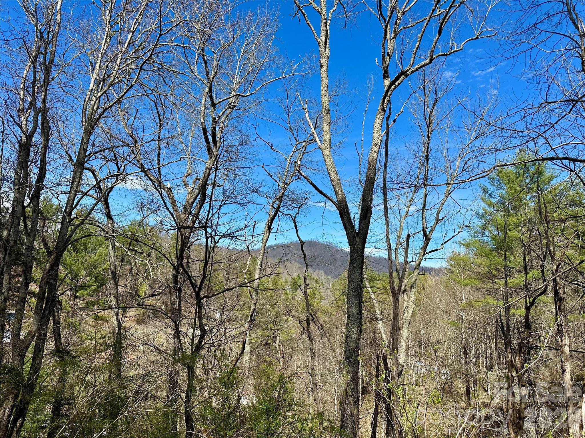 0 North Mitchell Avenue Bakersville, NC 28705 - Photo 5 of 22