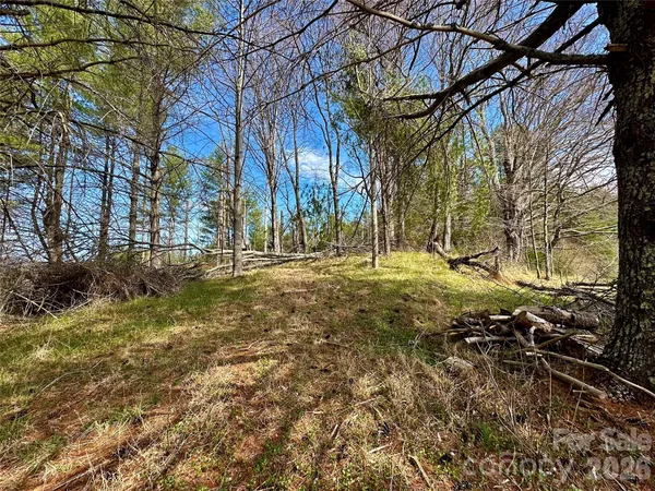 $155,000 | 0 North Mitchell Avenue, Bakersville, NC 28705