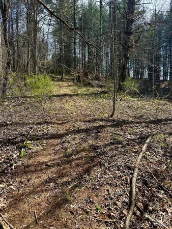 $155,000 | 0 North Mitchell Avenue, Bakersville, NC 28705