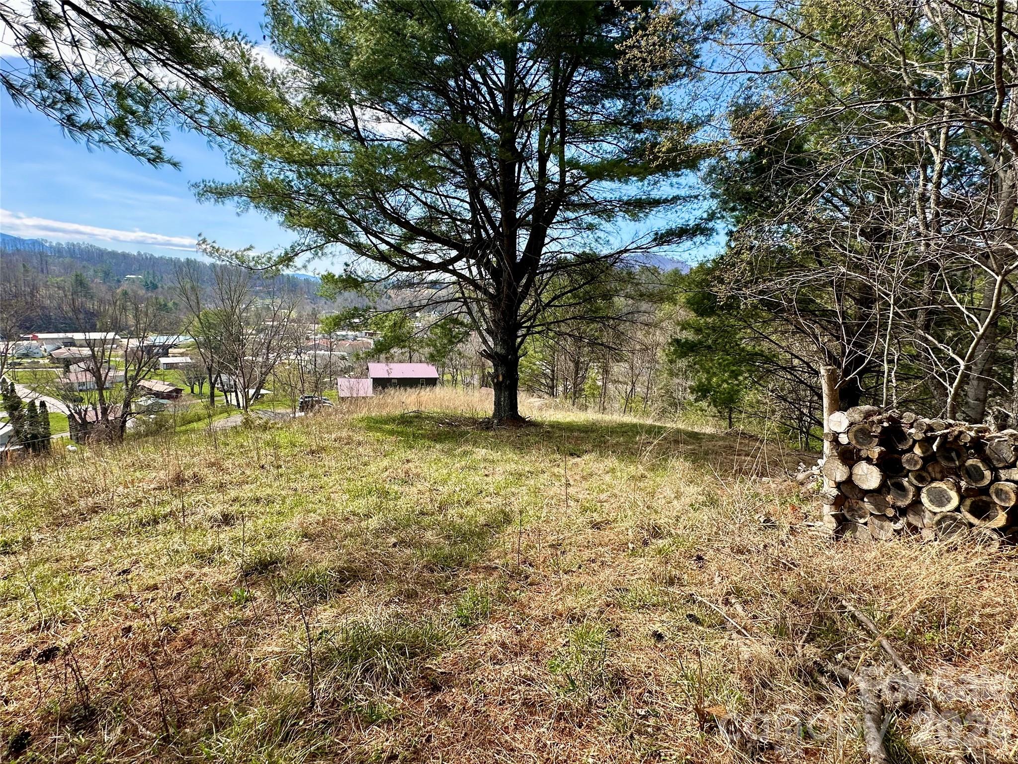 0 North Mitchell Avenue Bakersville, NC 28705 - Photo 7 of 22