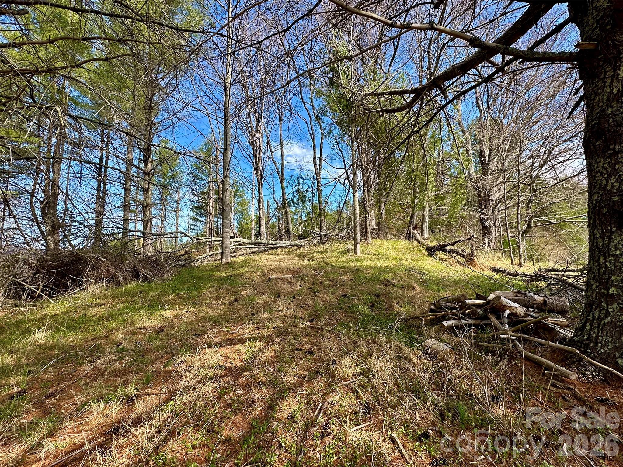 0 North Mitchell Avenue Bakersville, NC 28705 - Photo 8 of 22