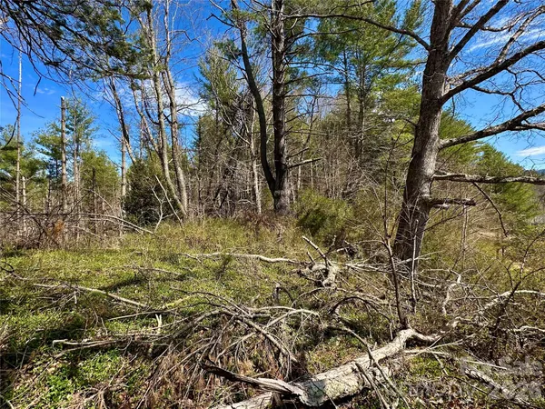 $155,000 | 0 North Mitchell Avenue, Bakersville, NC 28705
