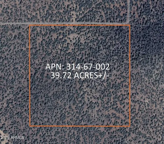 $24,947 | 8641 North High Mountain Road, Seligman, AZ 86337