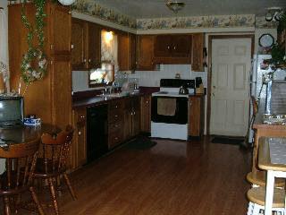 4250 Secor Road Ida, MI 48140 - Photo 4 of 8 KITCHEN