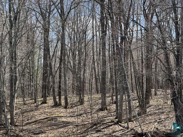 13160 East County Rd B Lake Nebagamon, WI 54849 - Photo 23 of 26 Gallery Image 23