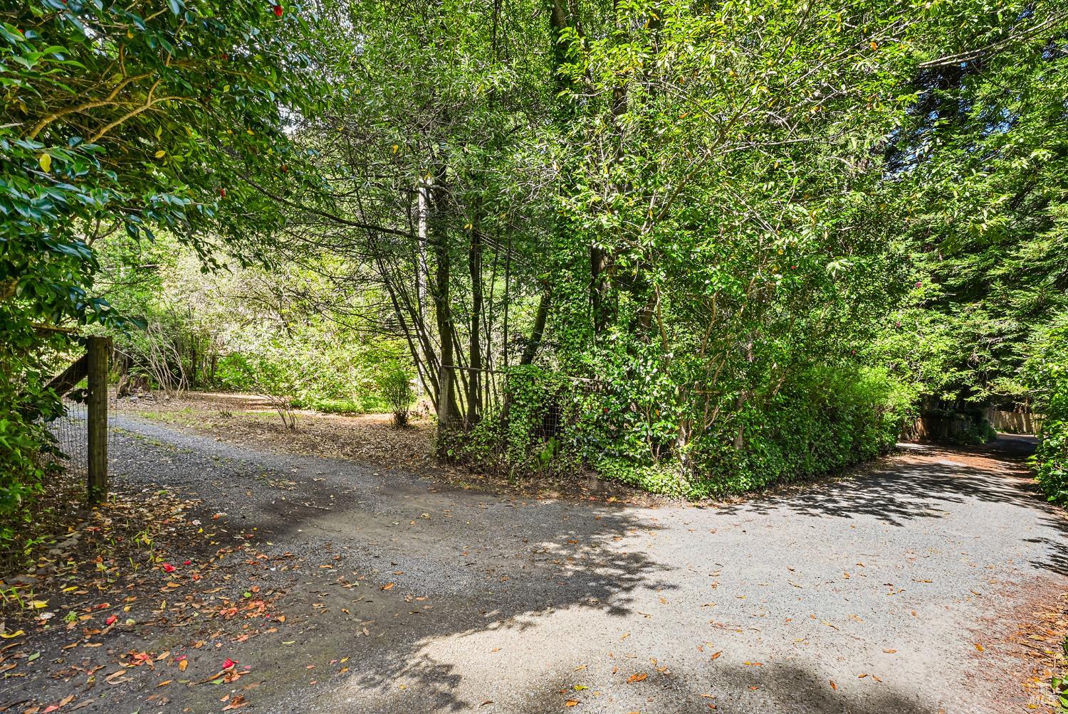 1365 Austin Creek Road Cazadero, CA 95421 - Photo 6 of 55