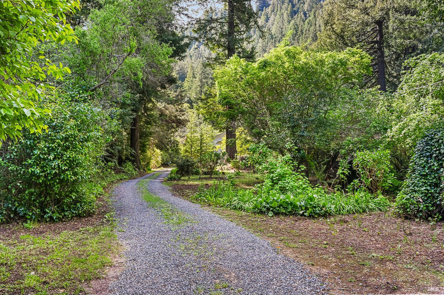 1365 Austin Creek Road Cazadero, CA 95421 - Photo 7 of 55