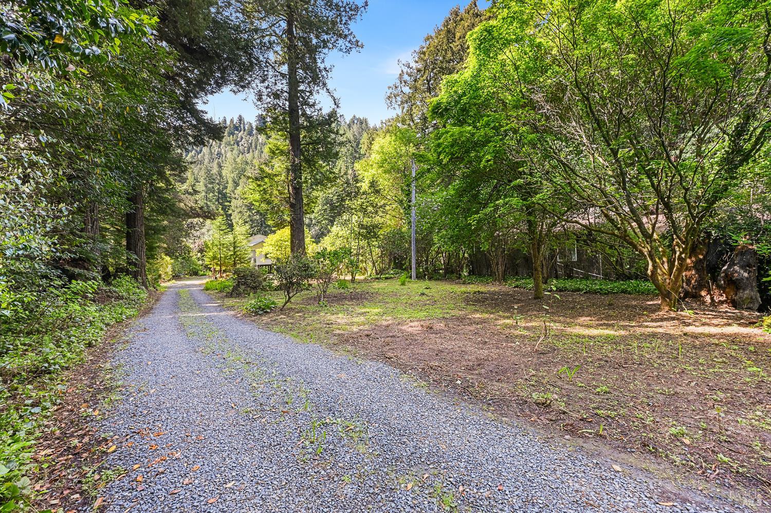 1365 Austin Creek Road Cazadero, CA 95421 - Photo 8 of 55
