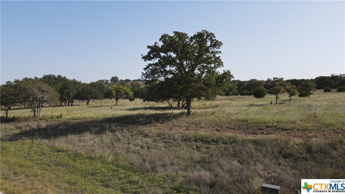 a view of a field with trees in it