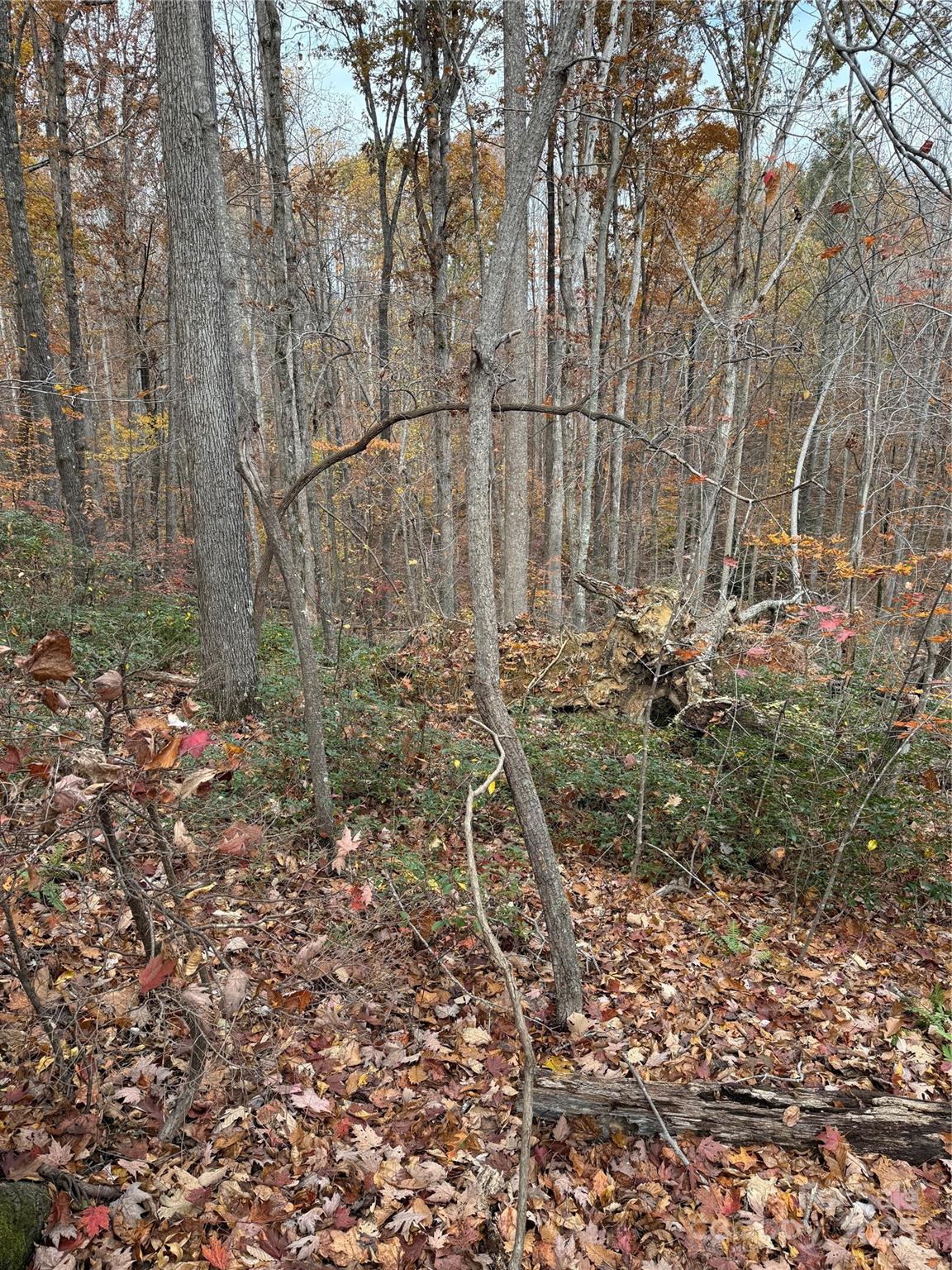 V/l Lot 112 V/l Ridge Marion, NC 28752 - Photo 14 of 34 a backyard of a house with lots of green space