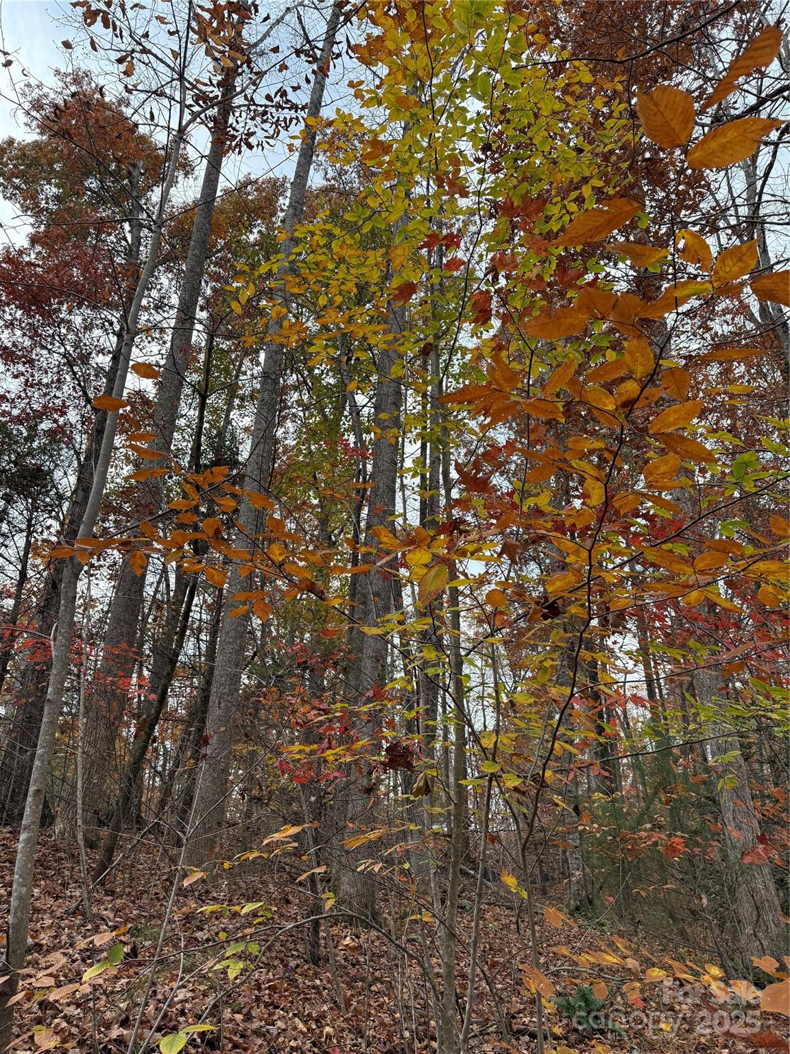 V/l Lot 112 V/l Ridge Marion, NC 28752 - Photo 21 of 34