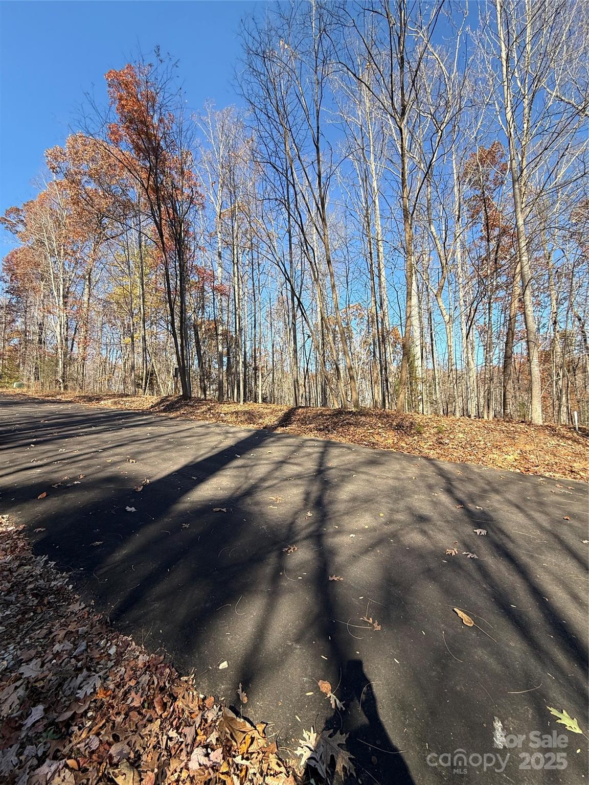 V/l Lot 112 V/l Ridge Marion, NC 28752 - Photo 5 of 34 a view of road with trees