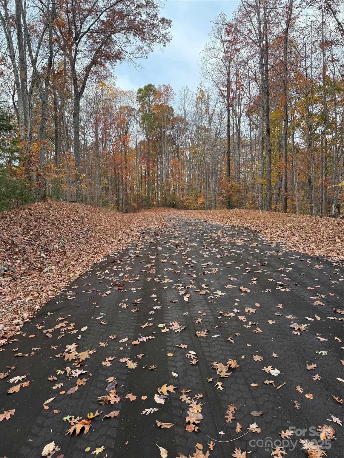 V/l Lot 112 V/l Ridge Marion, NC 28752 - Photo 8 of 34
