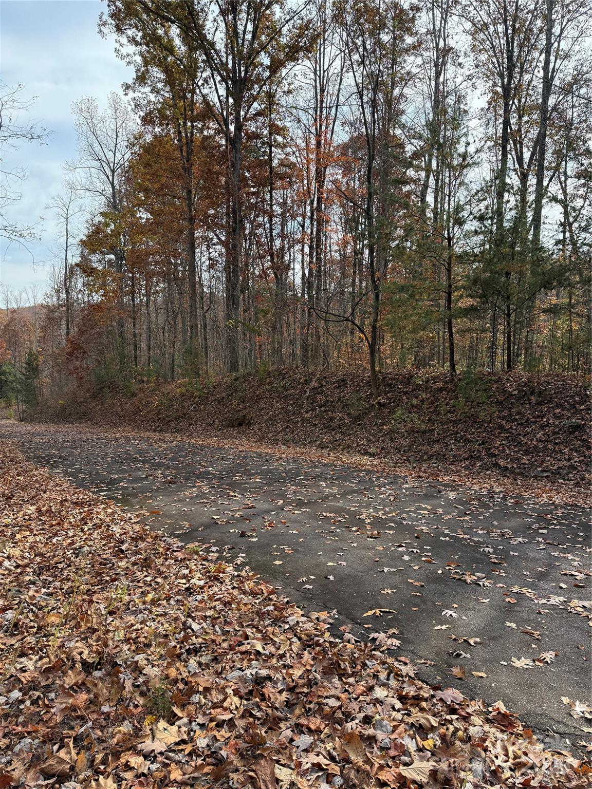 V/l Lot 112 V/l Ridge Marion, NC 28752 - Photo 10 of 34 a view of a yard with trees