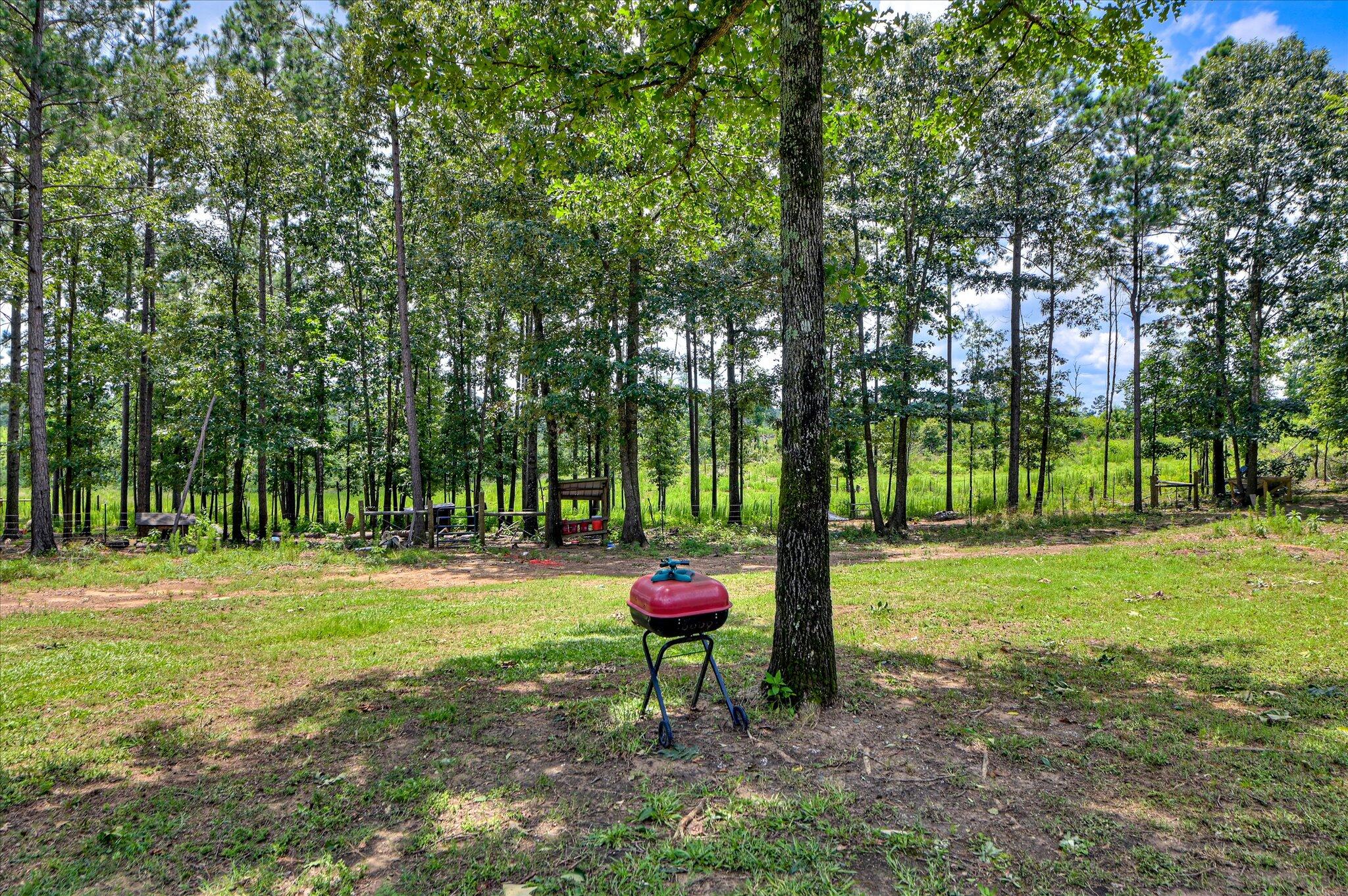 196 Brodie Hall Road Wagener, SC 29164 - Photo 35 of 42 43-131