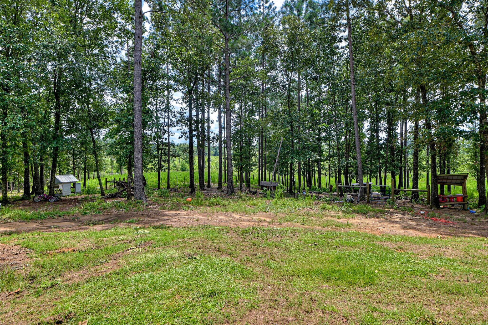 196 Brodie Hall Road Wagener, SC 29164 - Photo 36 of 42 44-132