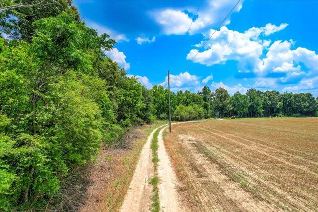 $684,000 | 196 Brodie Hall Road, Wagener, SC 29164