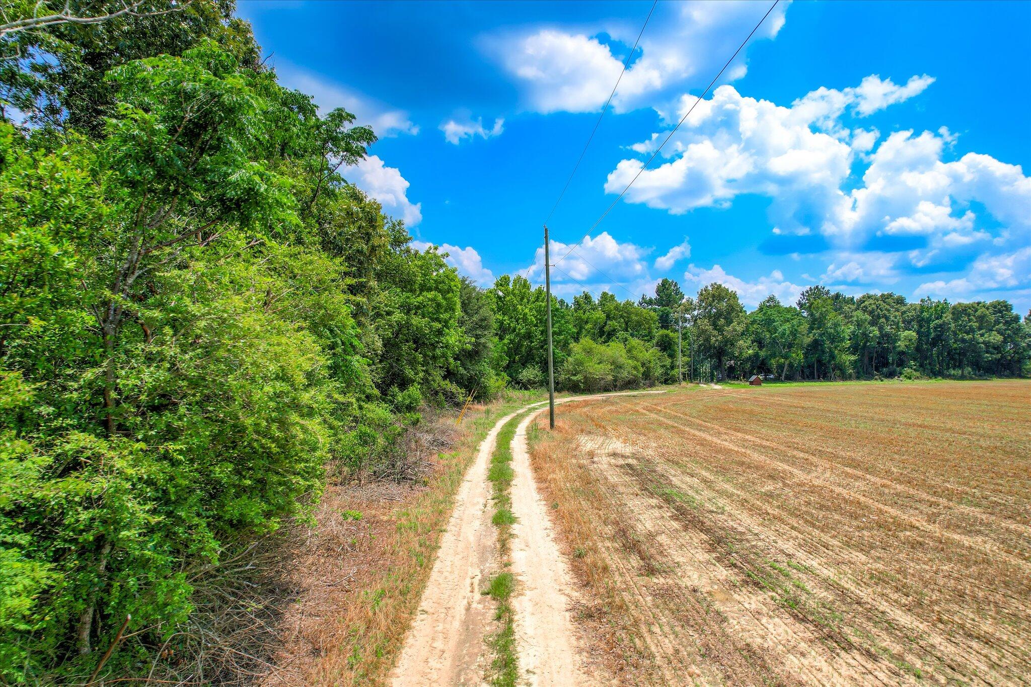 196 Brodie Hall Road Wagener, SC 29164 - Photo 37 of 42 45-114