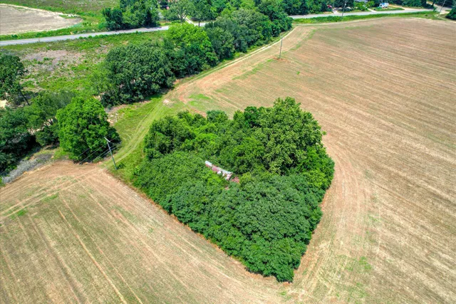 $684,000 | 196 Brodie Hall Road, Wagener, SC 29164