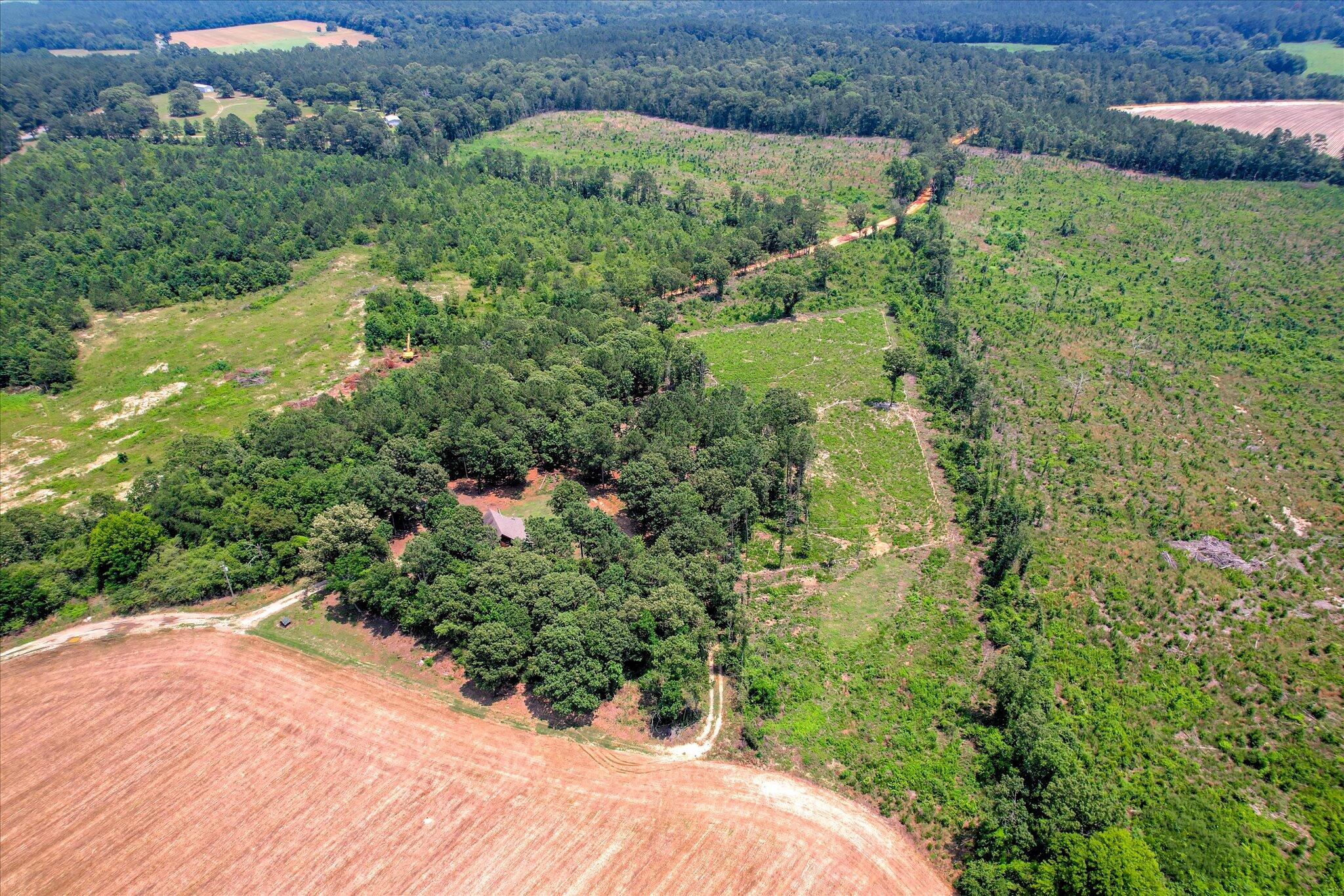 196 Brodie Hall Road Wagener, SC 29164 - Photo 39 of 42 47-116