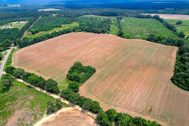 $684,000 | 196 Brodie Hall Road, Wagener, SC 29164