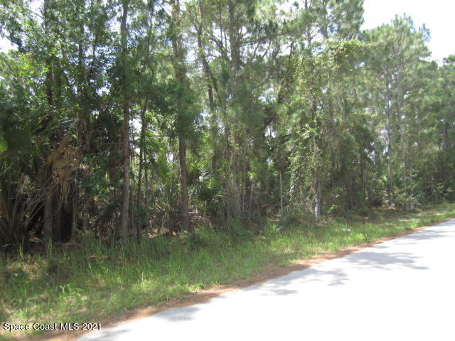 960 Pandora Road Southeast Palm Bay, FL 32909 - Photo 2 of 9 IMG_2586