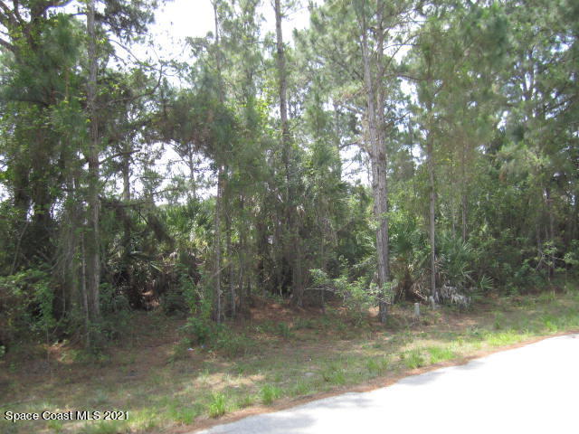 960 Pandora Road Southeast Palm Bay, FL 32909 - Photo 3 of 9 IMG_2587