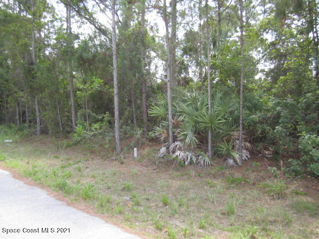 960 Pandora Road Southeast Palm Bay, FL 32909 - Photo 6 of 9 IMG_2590