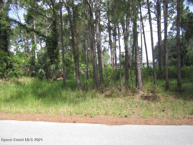 960 Pandora Road Southeast Palm Bay, FL 32909 - Photo 7 of 9 IMG_2591