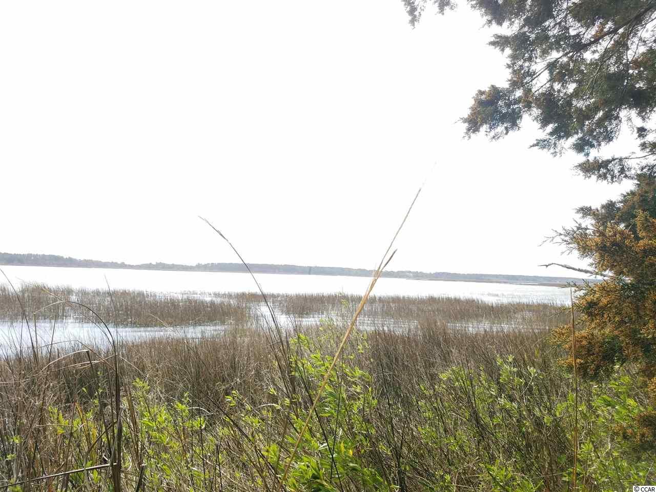 124 Gillette Place Murrells Inlet, SC 29576 - Photo 2 of 10 Gallery Image 2