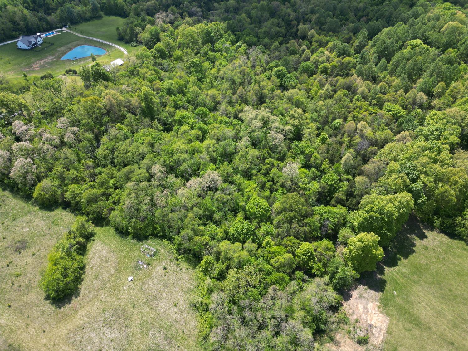 0 Chesterville Road Moores Hill, IN 47032 - Photo 8 of 31