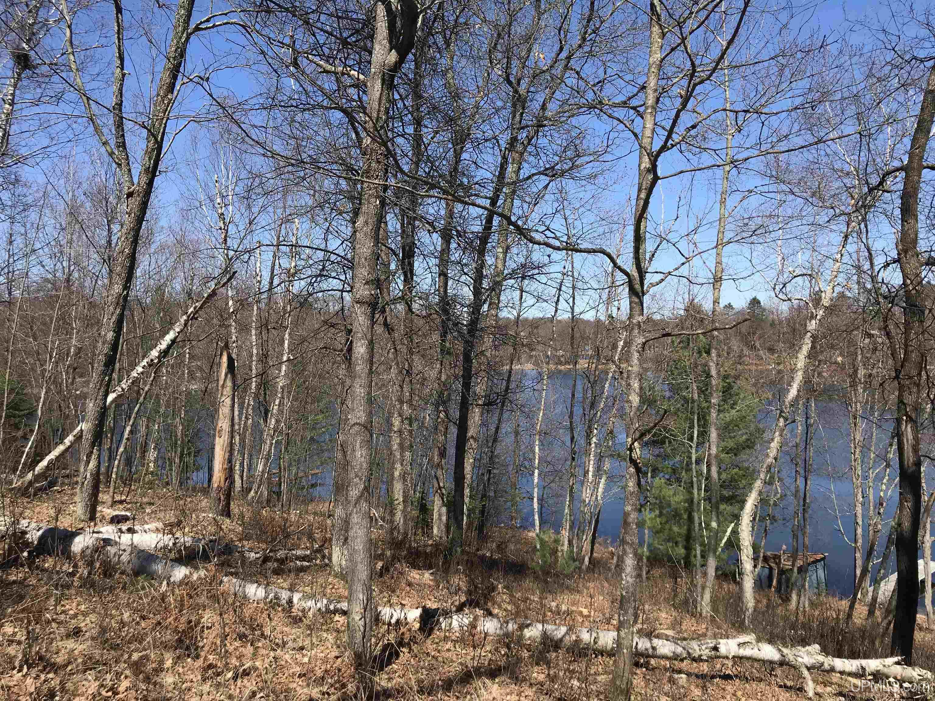 4776 West Cosgrove Lk Road Florence, WI 54121 - Photo 17 of 22 Gallery Image 17