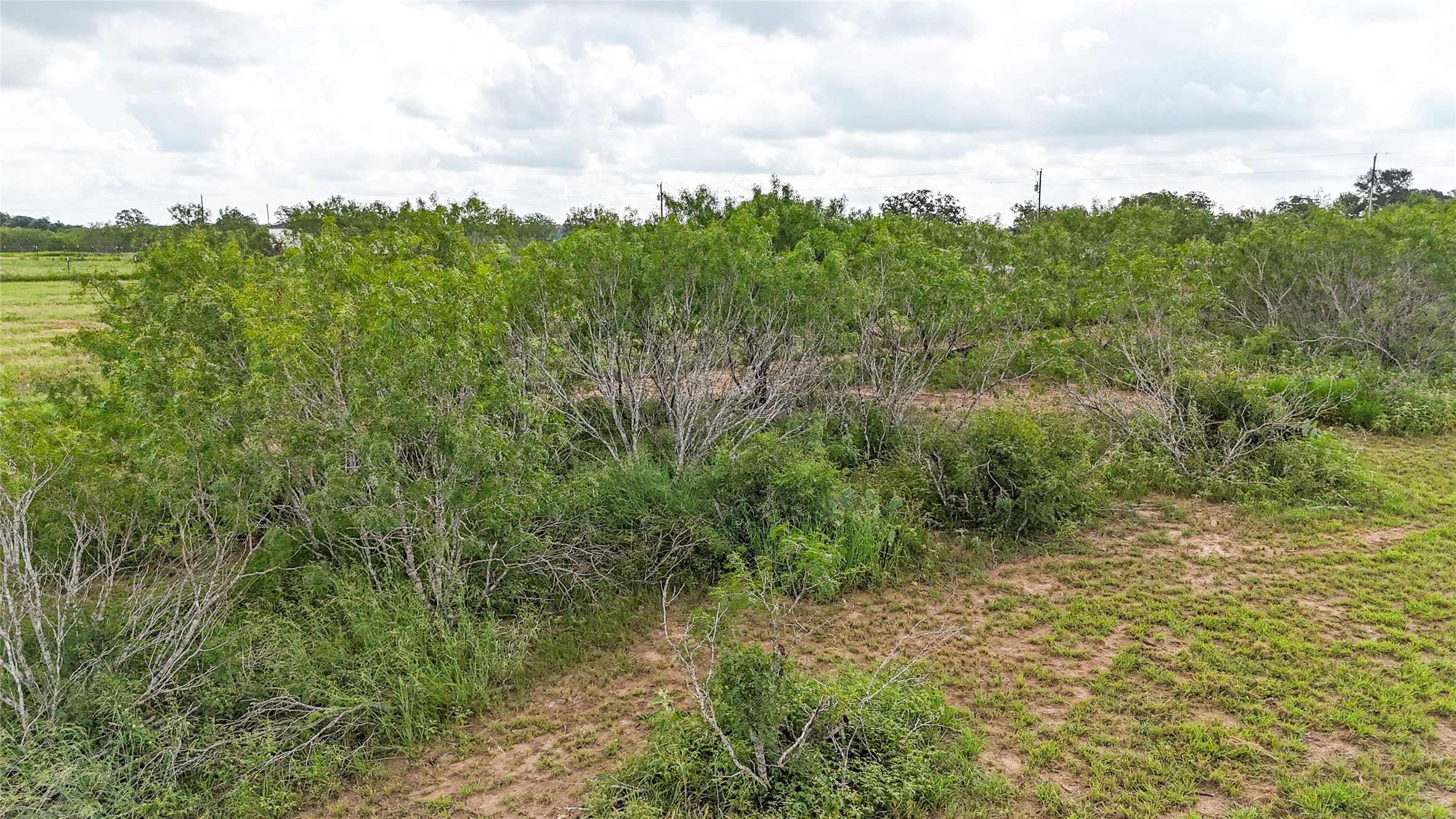4013 Old Colony Line Road Dale, TX 78616 - Photo 4 of 12
