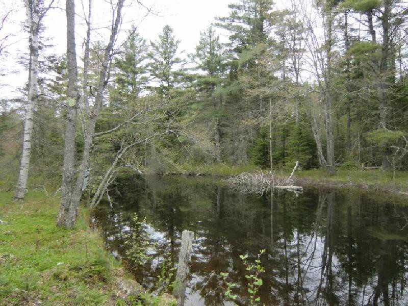 246 Plummer Road Palermo, ME 04354 - Photo 1 of 9 Waterfront/Dock/Pier.