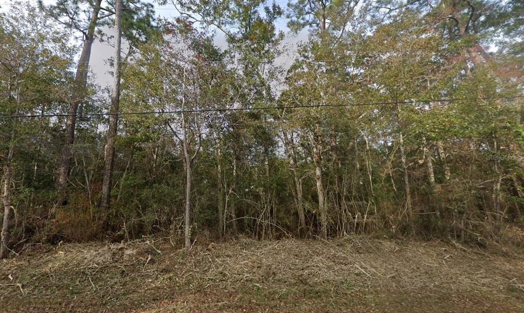 1875 Pearson Road Milton, FL 32583 - Photo 2 of 6