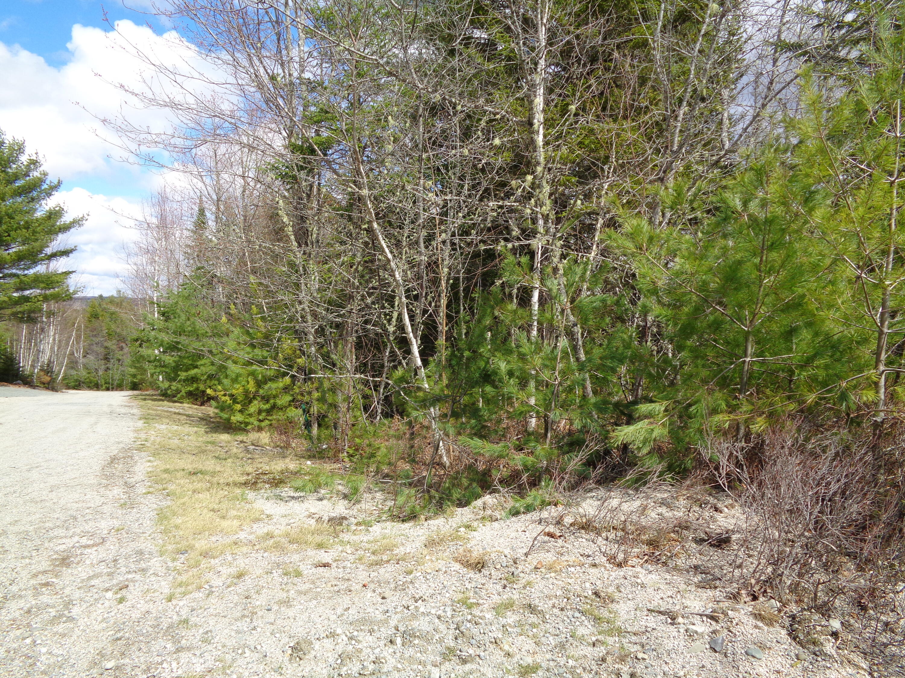 Lot 9 Bailey Mountain Road Franklin, ME 04634 - Photo 8 of 13